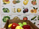 Наши развлечения + обучение 🧩