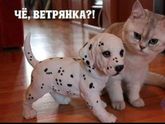 Актуально как никогда