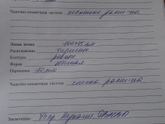 Узи почек