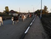 Выходные в деревне