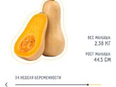 Нам сегодня 3️⃣4️⃣ недели