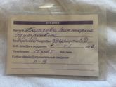 Родила