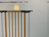 Ворота безопасности