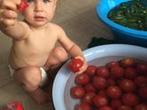Поделитесь рецептом засолки огурцов с помидорами?