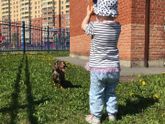 Алисоньке 1.8