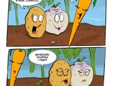 Вопрос про прикорм и свежие овощи 🌽