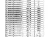 УЗИ в 10дней задержки?!
