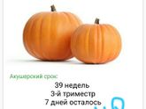 39 недель. Низкий старт?