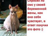 Ржу как конь все