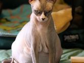 ?