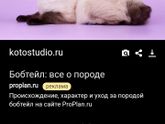 Хочу завезти кота