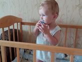 Грызем кроватку