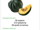 Нам 2️⃣8️⃣ недель