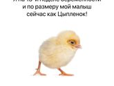 Растёт наш головастик!