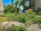 35 недель, и прием и новости 🌪💨