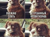 Всем приятного вечера?????