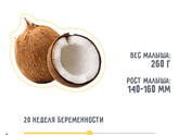 Мой кокосик))