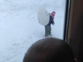 Убежали гулять