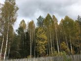 Осень...