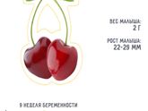 Моя маленькая жизнь❤