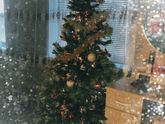 Праздник к нам приходит 🎄