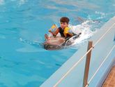 Первый день дельфинотерапии