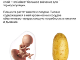 Нам 16 недель!