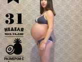 31 неделя