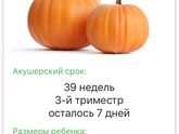 39 недель