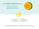 25 недель