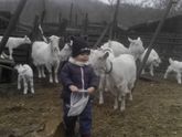 В гостях у козочек 🐐