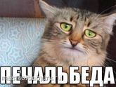 Там тадам... привет пролет