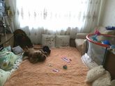 Нашла выход на первое время?