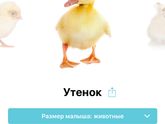 Повеселило обновление