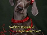 Пол ребенка