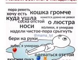 Улыбнуло)))