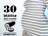 29 недель