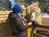 Весна, Гагарин, 3.3 на носу