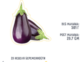 23 недели😊😍🤰