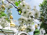 Фотограф на таинство крещения Волгоград\Волжский
