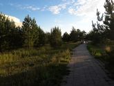 Хорошо, когда в 5 минутах от дома парк😊