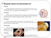 Первый скрининг ?