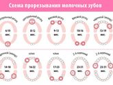 Зубки