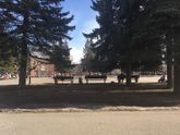 Погулянушки)))