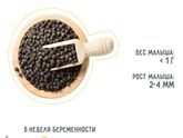 Сегодня встала на учёт)