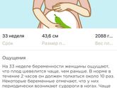 Шевеления на 33 недели