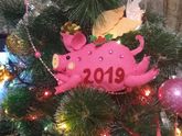 Наш новый год 2019!!!