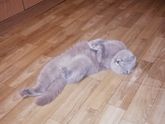 Нужная помощь