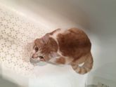 Бытовые вопросы