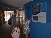 Встреча с дельфинами,касатками,морскими черепахами,акулами и всё с ноткой грусти.
